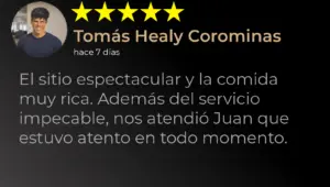 Tomás Healy